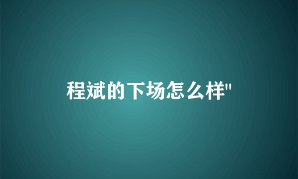 程斌的下场怎么样