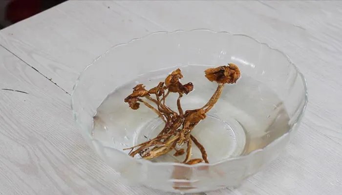 茶树菇汤的做法 茶树菇煮汤的做法