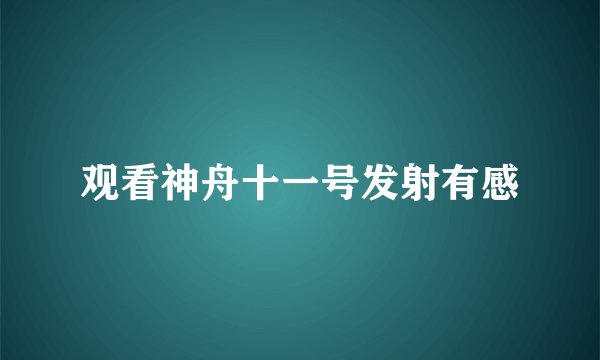 观看神舟十一号发射有感