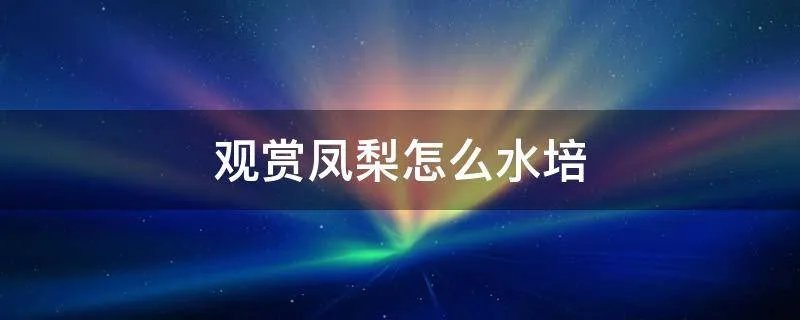 观赏凤梨怎么水培