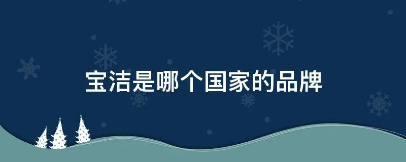 宝洁是哪个国家的品牌