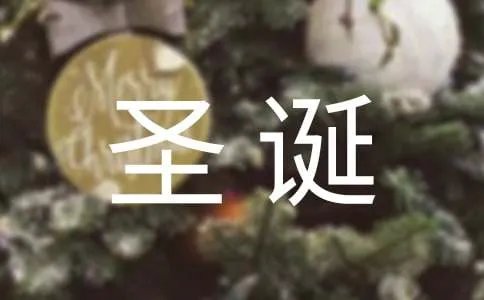 圣诞派对