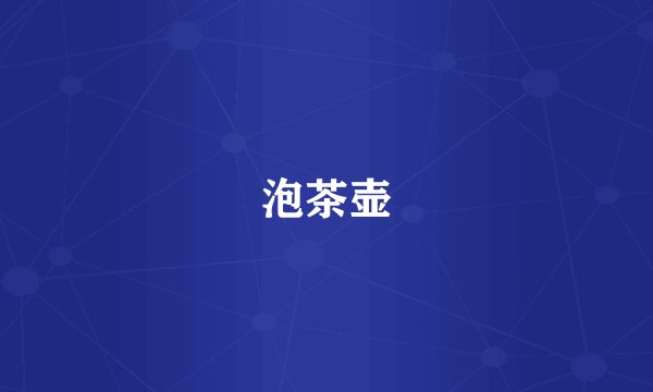 泡茶壶