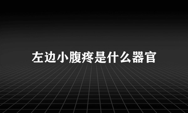 左边小腹疼是什么器官