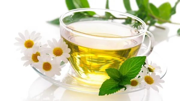 长期饮用普洱茶能养胃？5款健脾养胃茶呵护你的胃