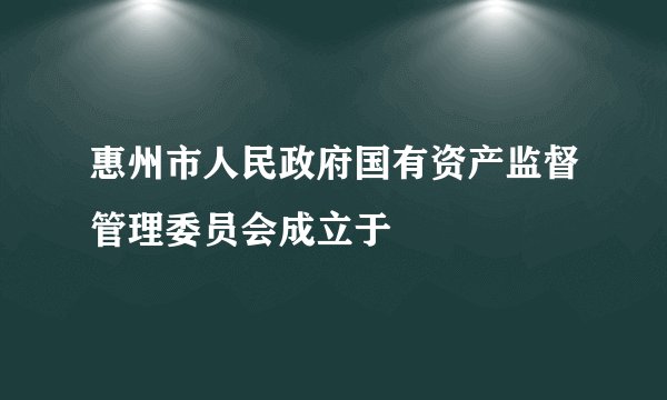 惠州市人民政府国有资产监督管理委员会成立于